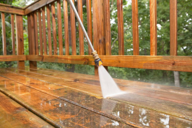 Best Animal Enclosure Cleaning  in Tawas City, MI